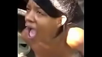Ebony Schö...