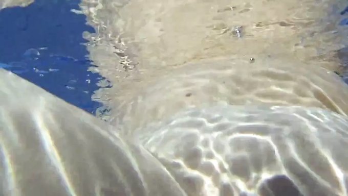 Gemächlich Mit Einem Twist Schwimmen