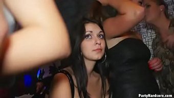 Wilde Orgi...