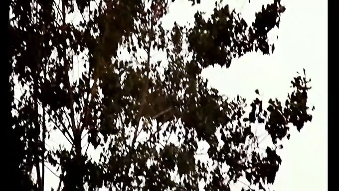 Erlebe Die Klassischen Softcore Filme Von Serena Grandi