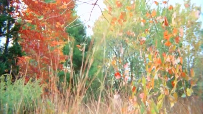 Klassisches Vintage-Hd-Video: Ein Retro-Entzücken