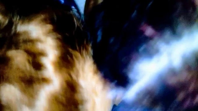 Schöne Fette Frauen In Einer Gruppenorgie Mit Amateur-Schwarzem Schwanz