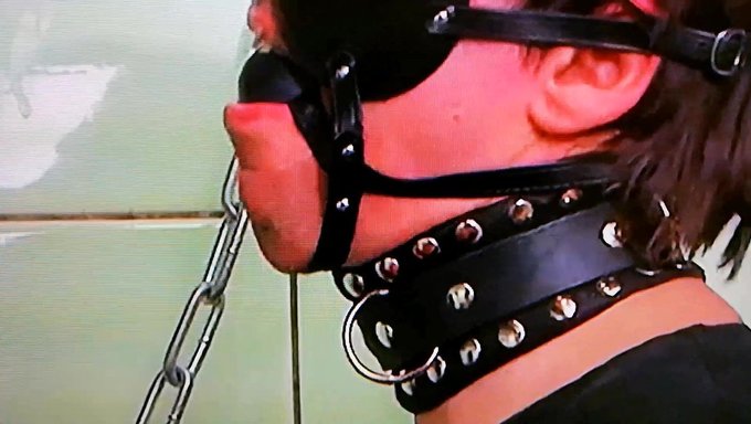 Kleines Paket Wird Beim Bdsm Stapelspiel Gefesselt