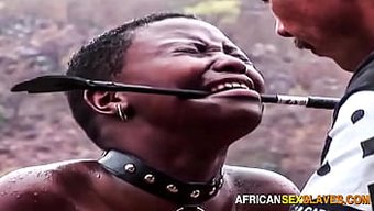 Ebony Skla...