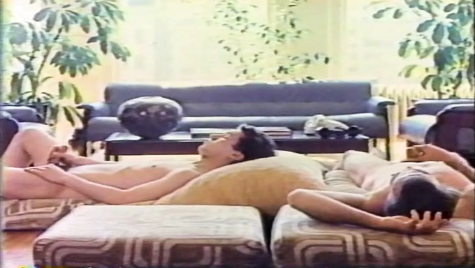 Klassische Pornostars Im Retro Video