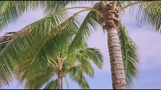 Vintage Porno: Eine Nostalgische Reise In Die Erinnerungsspur