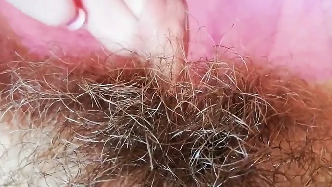 Die Haarige Muschi Und Der Kitzler Der Jungen Frau Werden In Einem Intensiven Orgasmus In Nahaufnahme