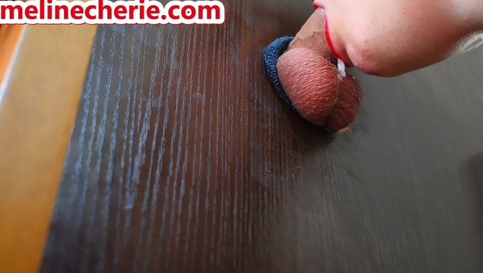 Französische Studentin Saugt Sperma Durch Ein Gloryhole