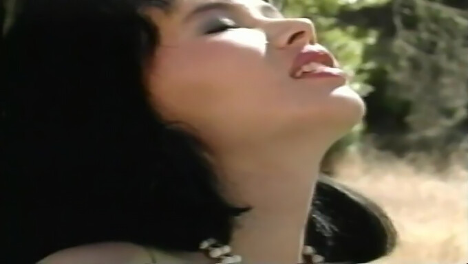 Retro-Szene Mit Muschilecken Aus Einem Vintage-Pornovideo