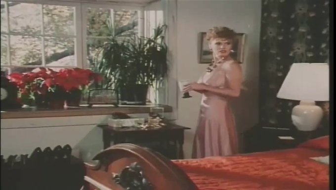 Retro-Pornostars In High Definition